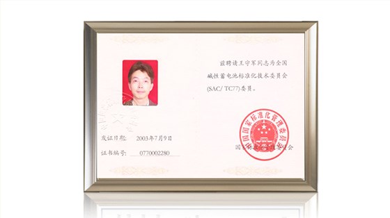 全國堿性蓄電池標準化技術(shù)委員會(huì )委員