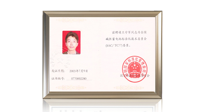 全國堿性蓄電池標準化技術(shù)委員會(huì )委員
