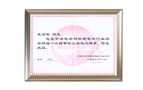 中國化學(xué)與物理電源行業(yè)協(xié)會(huì )理事