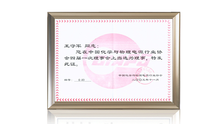 中國化學(xué)與物理電源行業(yè)協(xié)會(huì )理事