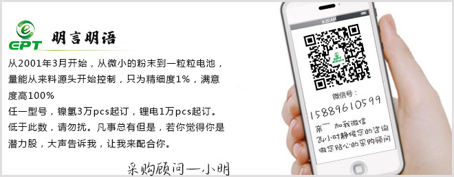 鋰離子電池廠(chǎng)家